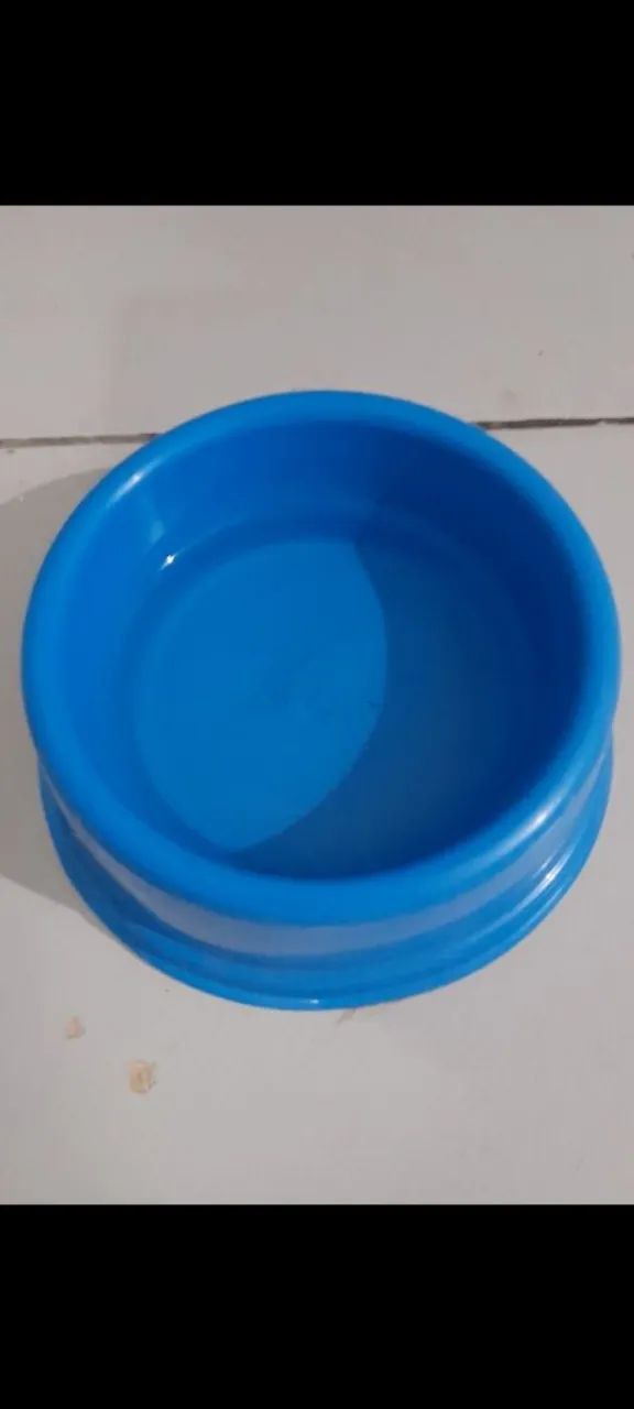 Doando gato - Adoção Responsável - Foto 4