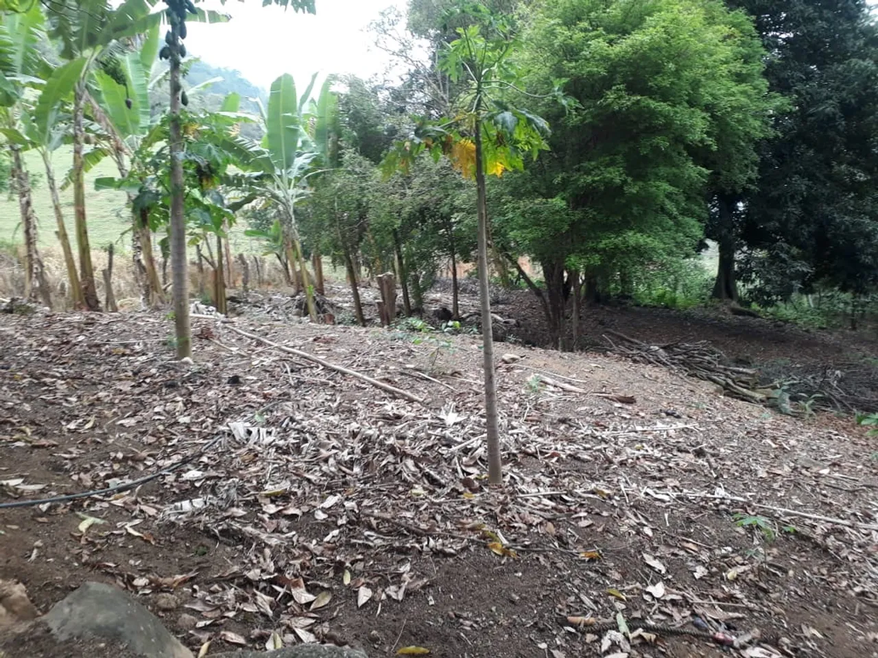Venda de chácaras Viana - ES