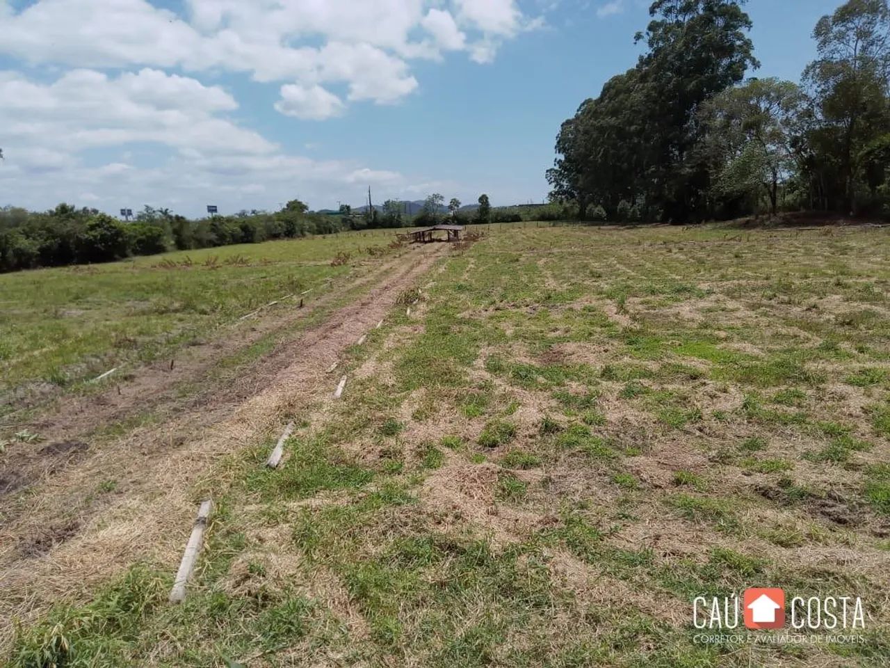 PENHA - Terreno Padrão - São Nicolau - Foto 2