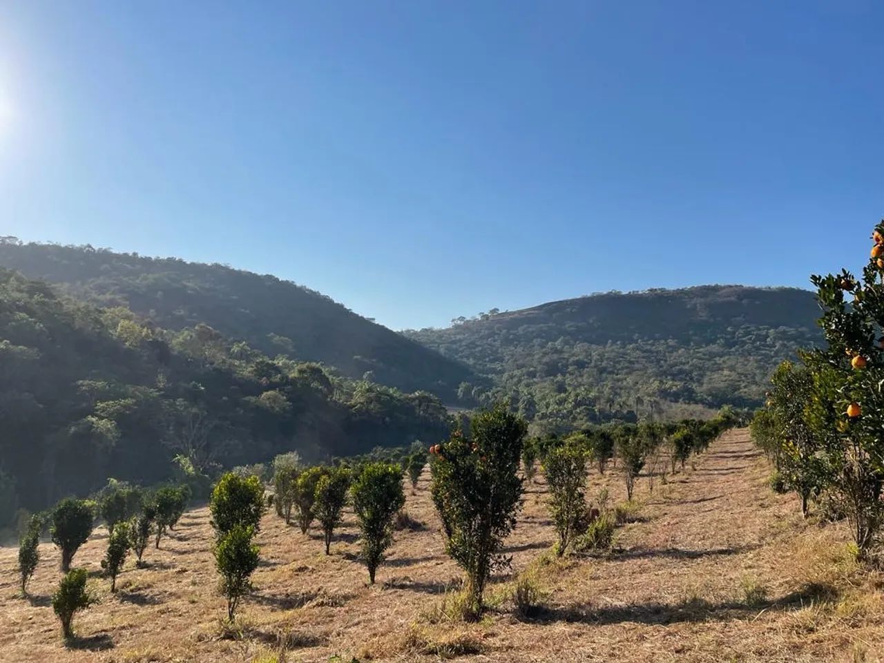 Chácara 1.000 m2  em Moeda MG - Foto 5