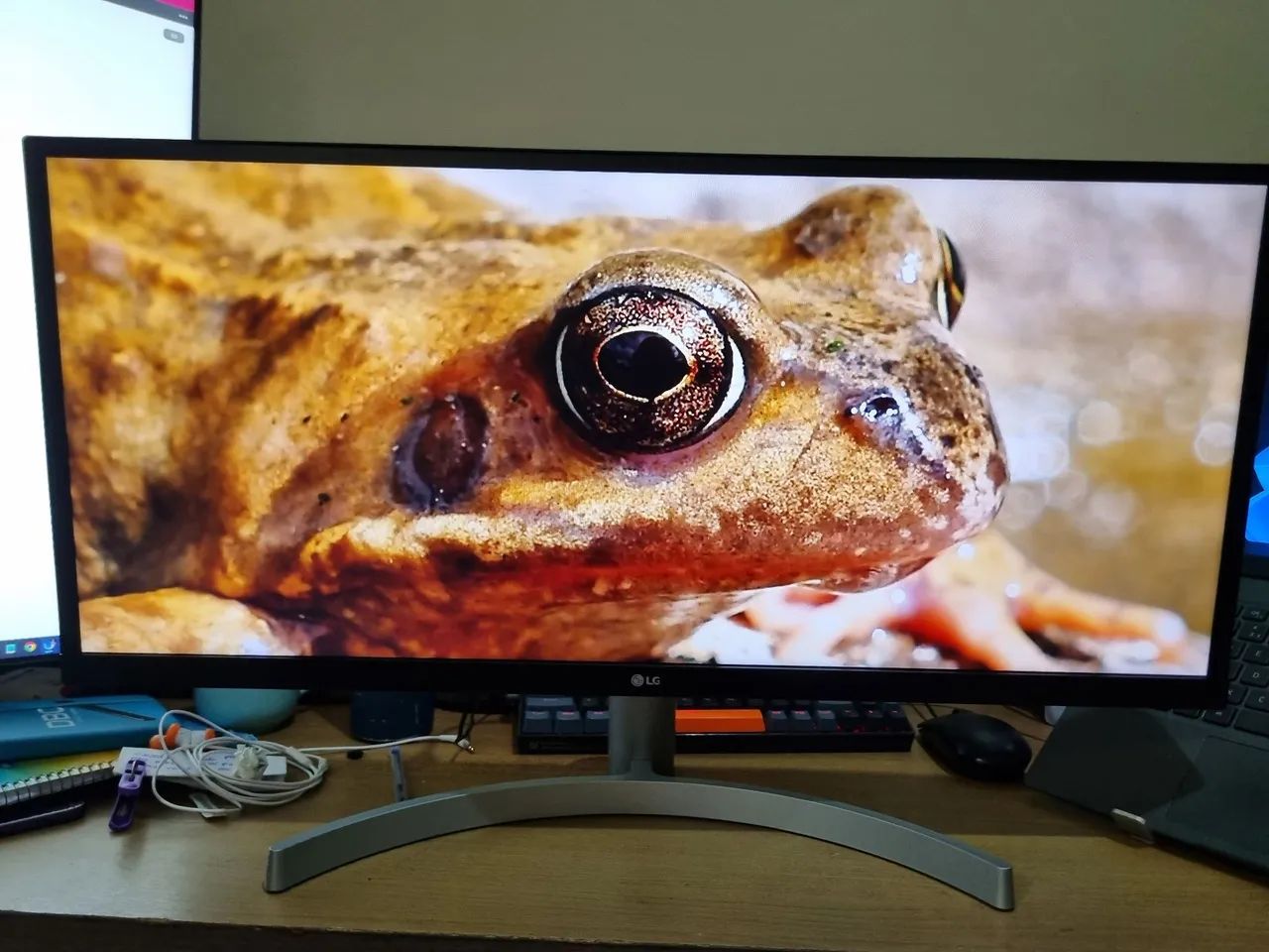 Monitor LG UltraWide 29 polegadas mocelo 29wk600 - Foto 2