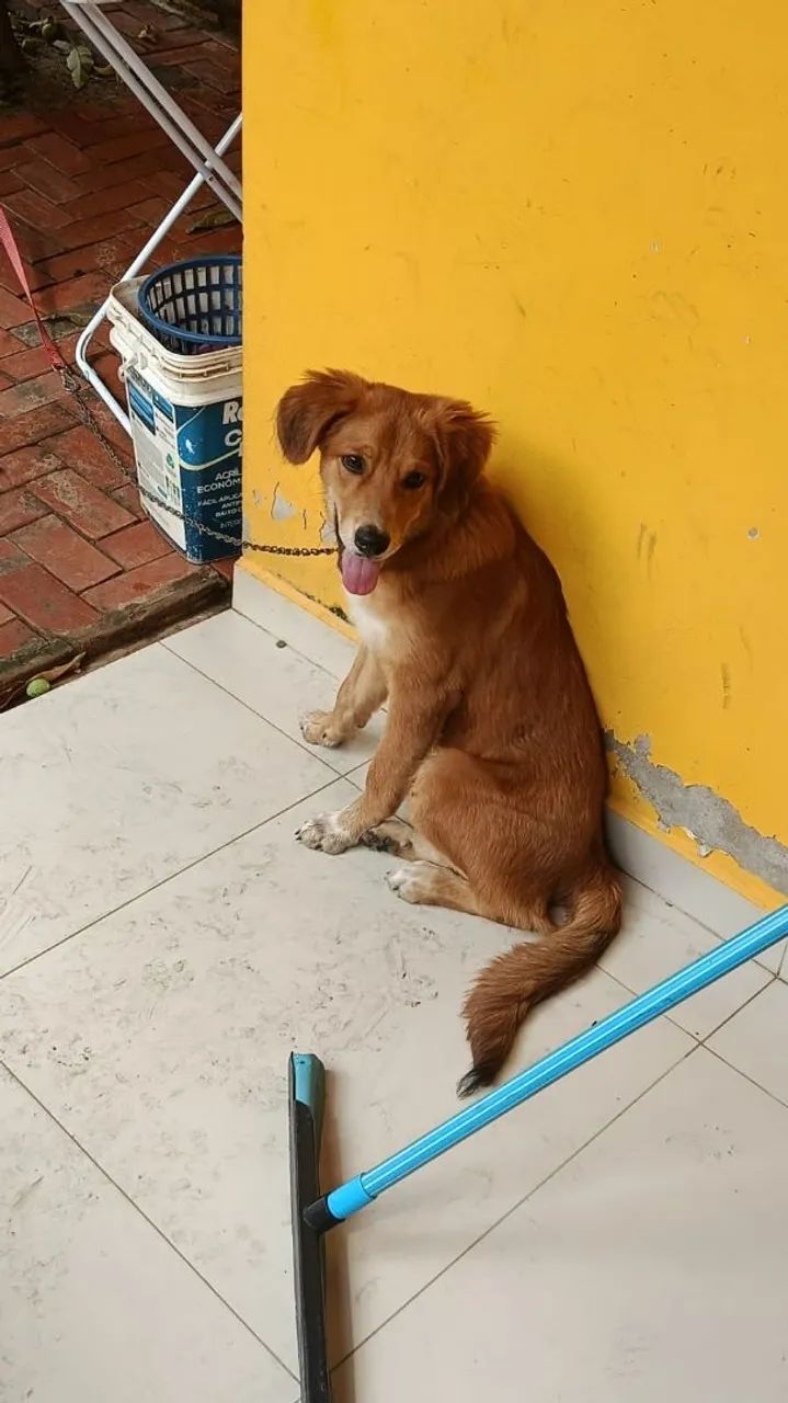 Doação ? - Foto 3