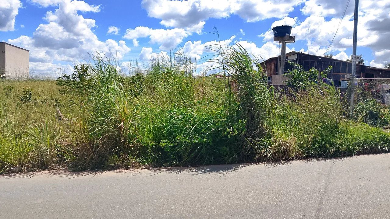 Lote  - Foto 3