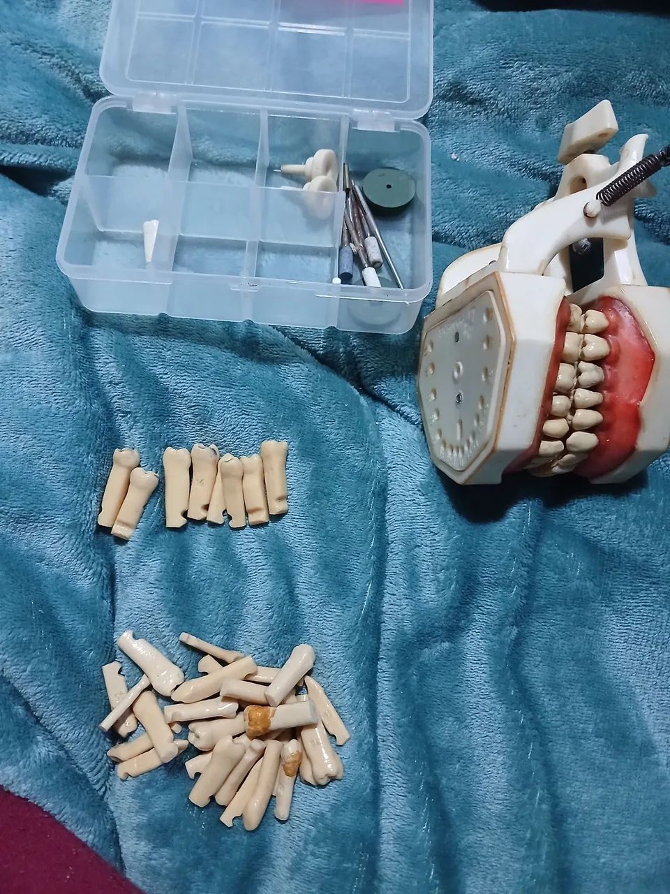 Manequim prodens com dentes extras e saca dentes perio dentística - Foto 3