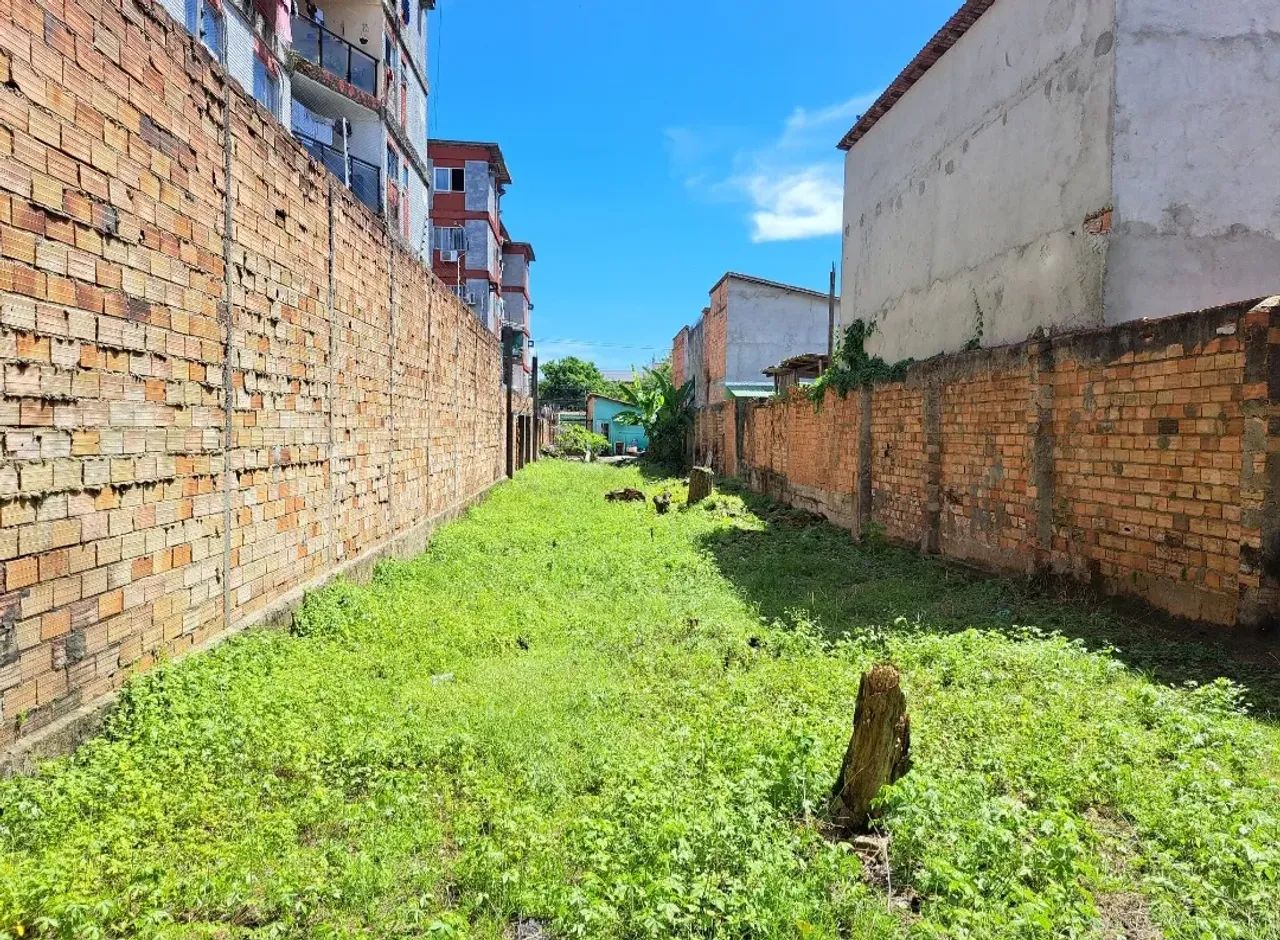 Terreno com casa na Marquês de Herval para investidores - Foto 5