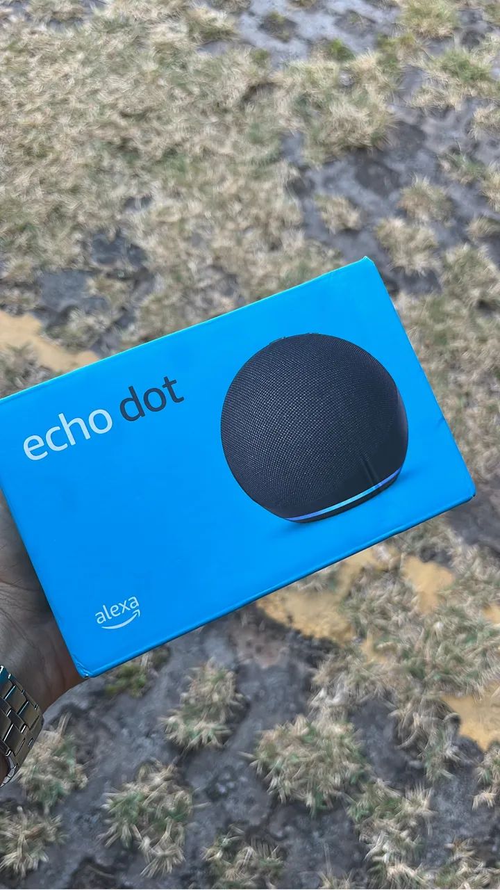 Alexa echo dot