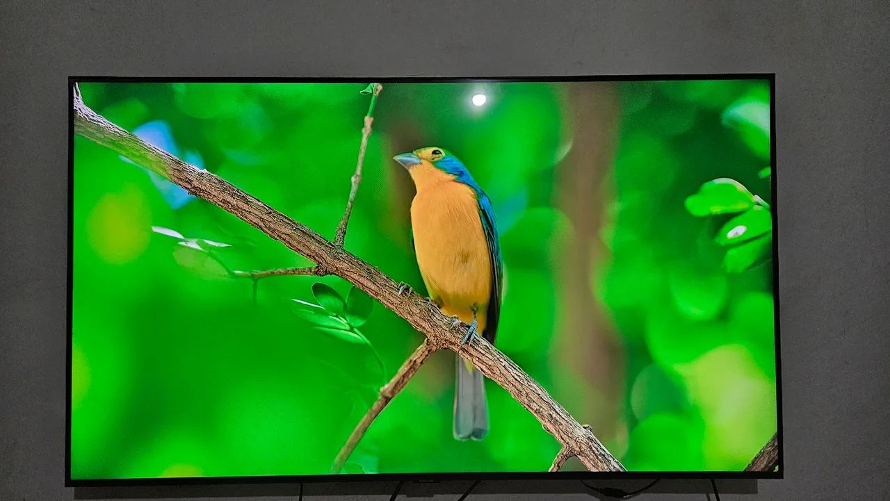 Vendo TV SAMSUNG com defeito 