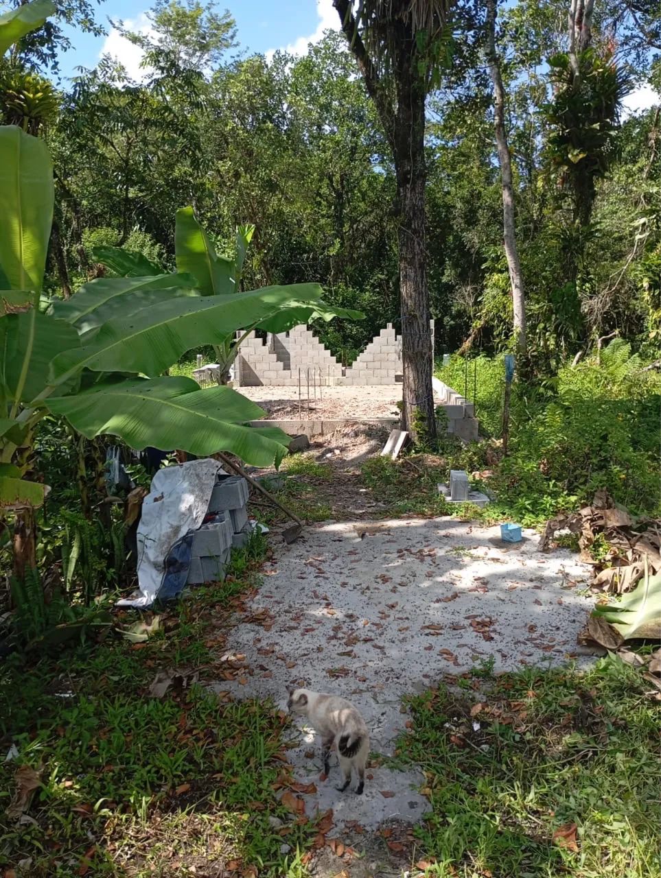 TERRENO ITANHAEM  - Foto 3