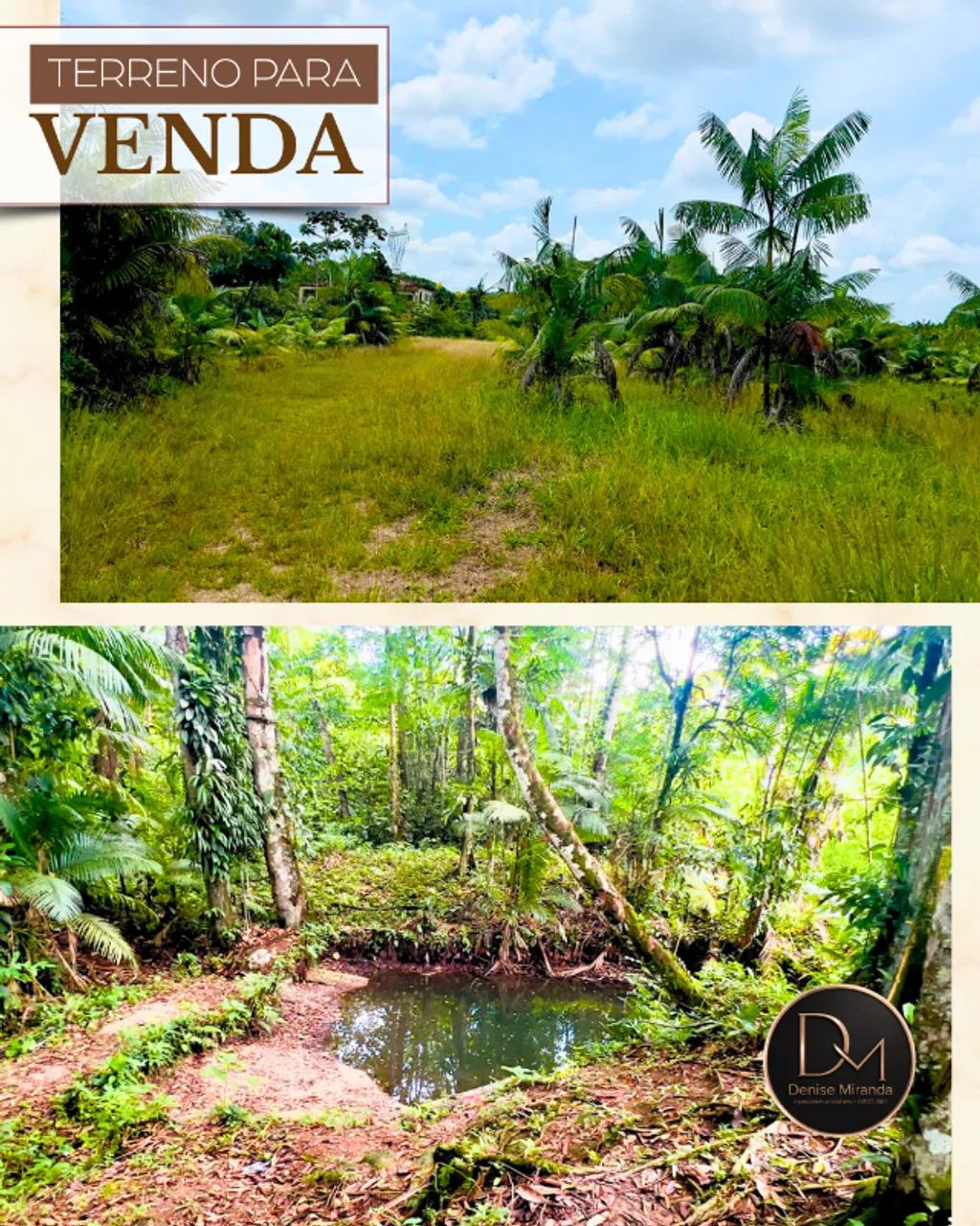 Terreno em Benevides de 165 hectares - Foto 2
