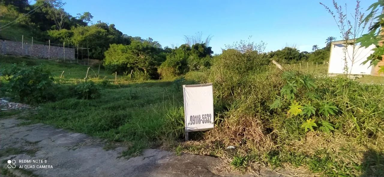 VENDO LOTE EM AMARGOSA  - Foto 2