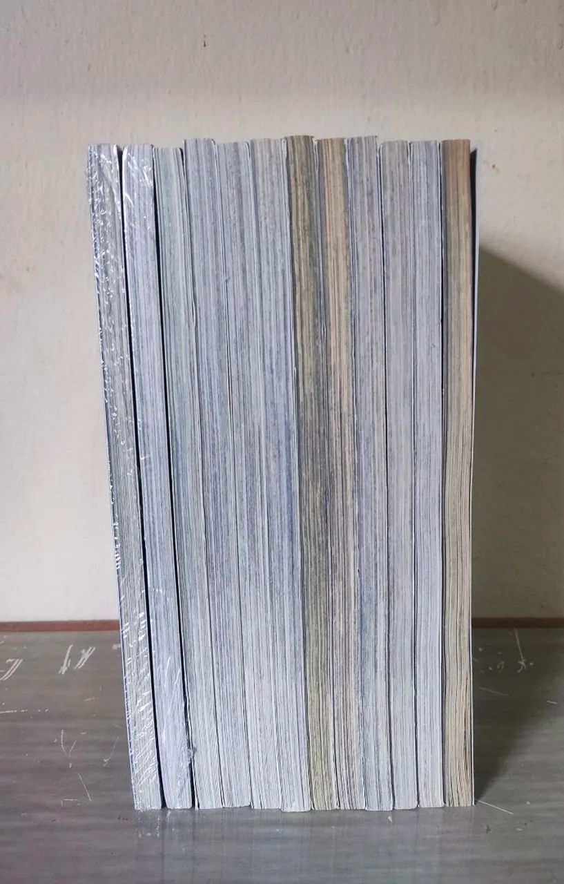 Mangá Cavaleiros do Zodíaco Next Dimension 1 ao 13. - Livros e