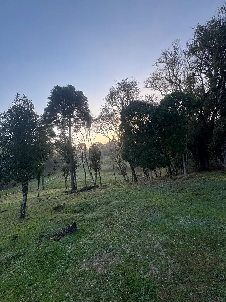 Terreno na Serra - Foto 3