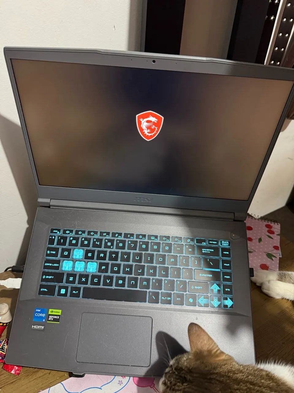 Notebook MSI Thin 15 B13VF 13" Rtx 4060