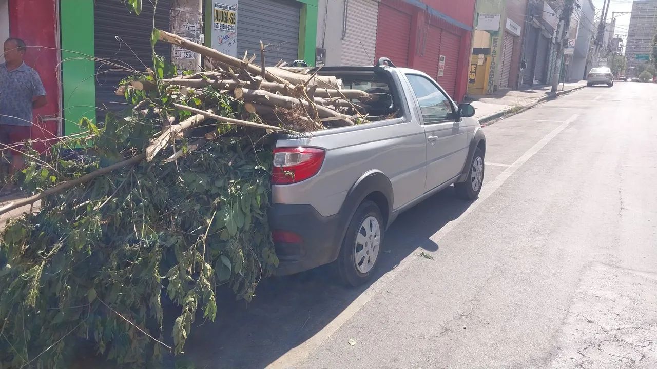 Jardinagem e Limpeza de terrenos. *  - Foto 2