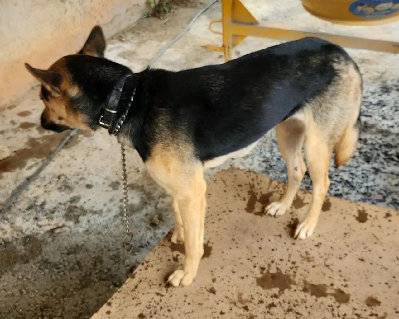 Doacao urgente  - Foto 2