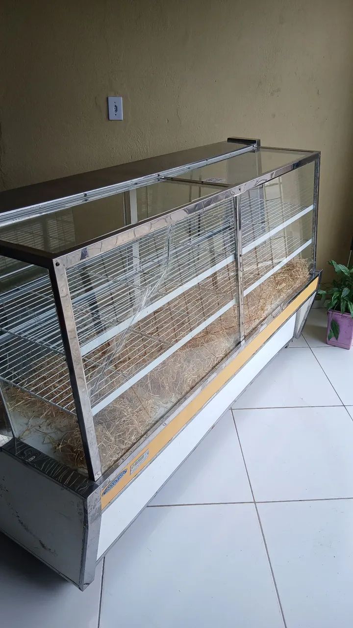 VENDE-SE VITRINE  - Foto 4
