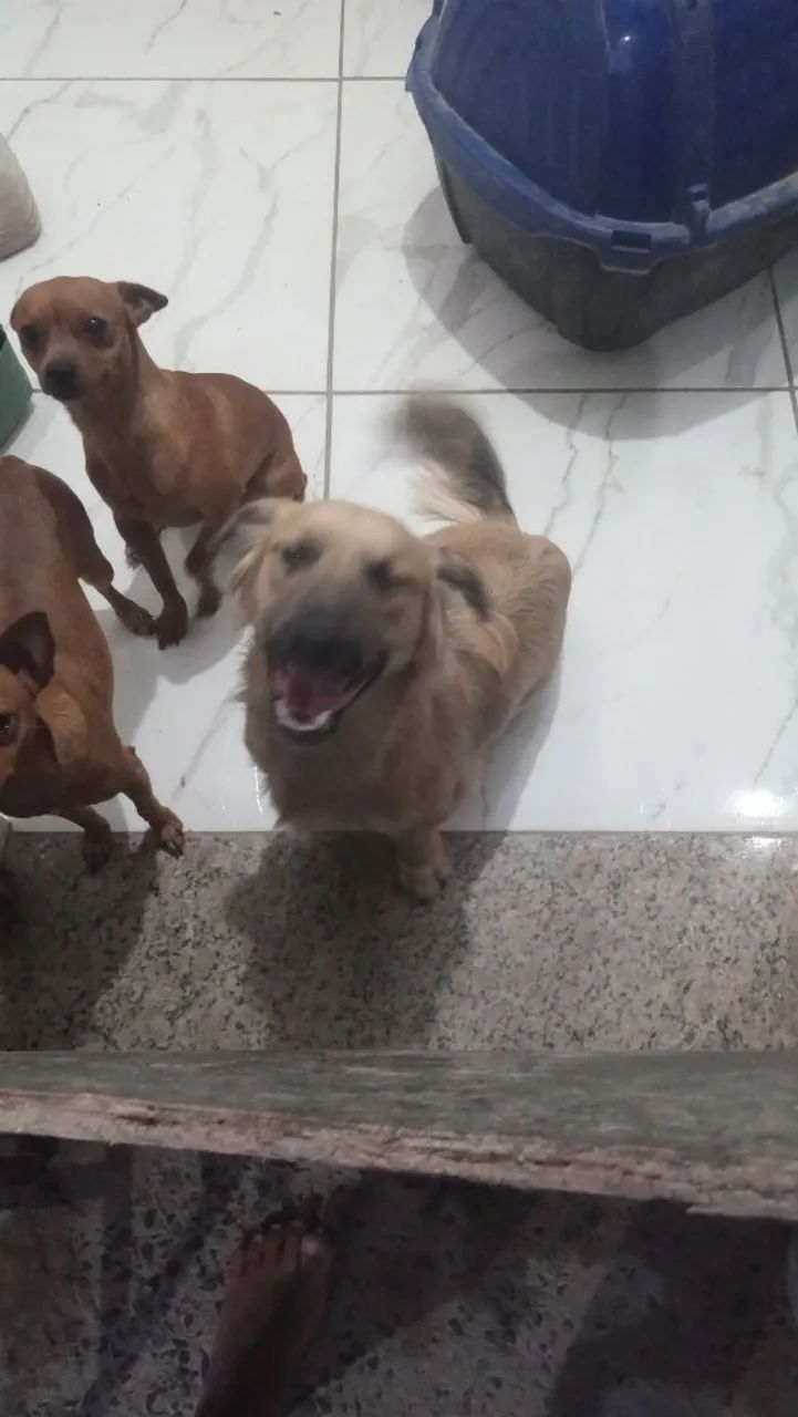 Doação  - Foto 2