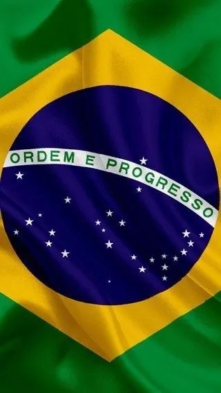 Bandeiras do Brasil diversos tamanhos e materiais  - Foto 3