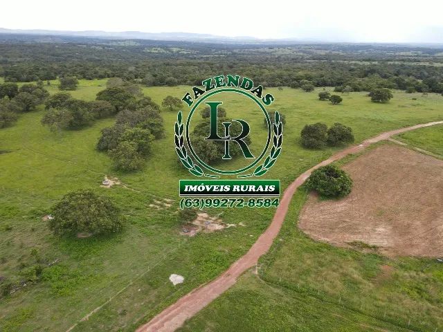 Fazenda 183 hectares, Próximo a Paraiso do Tocantins - Foto 4