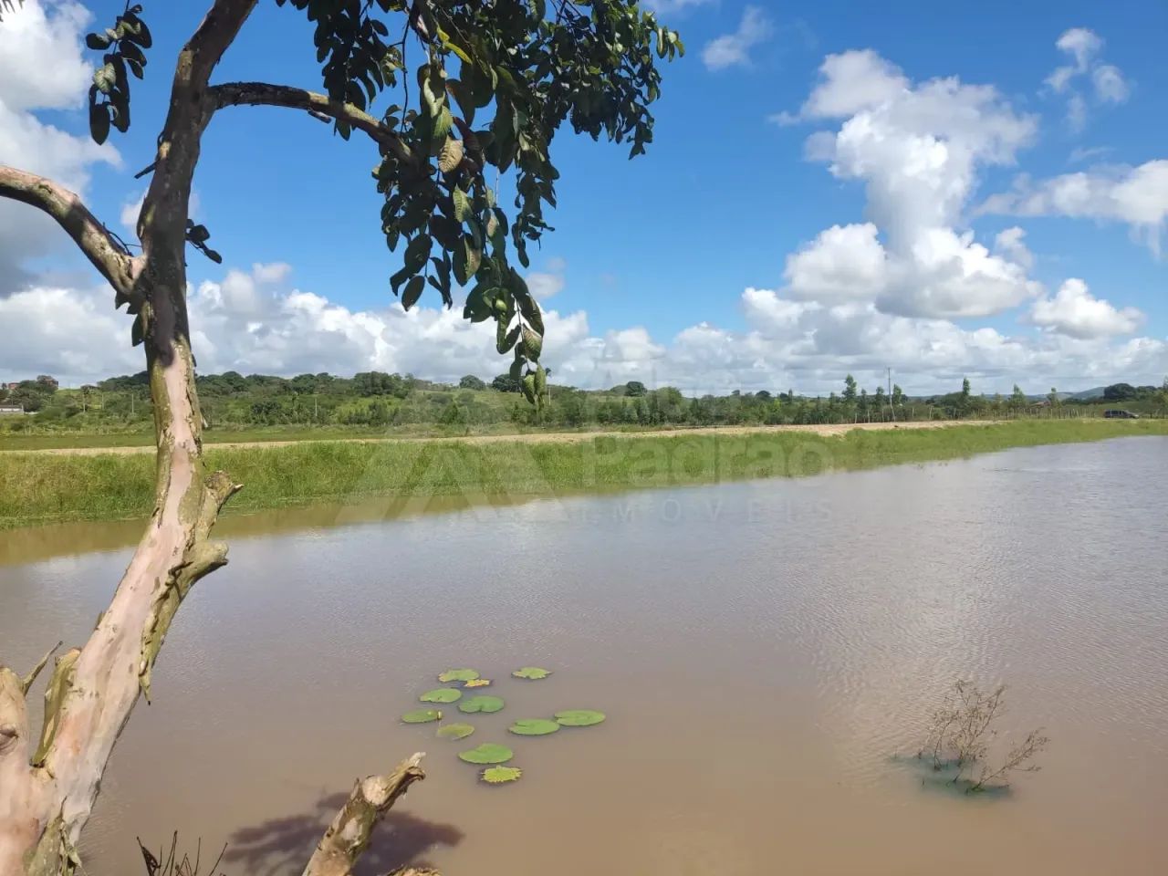 Oportunidade de Sitio em São Joaquim do Monte-PE - Foto 5
