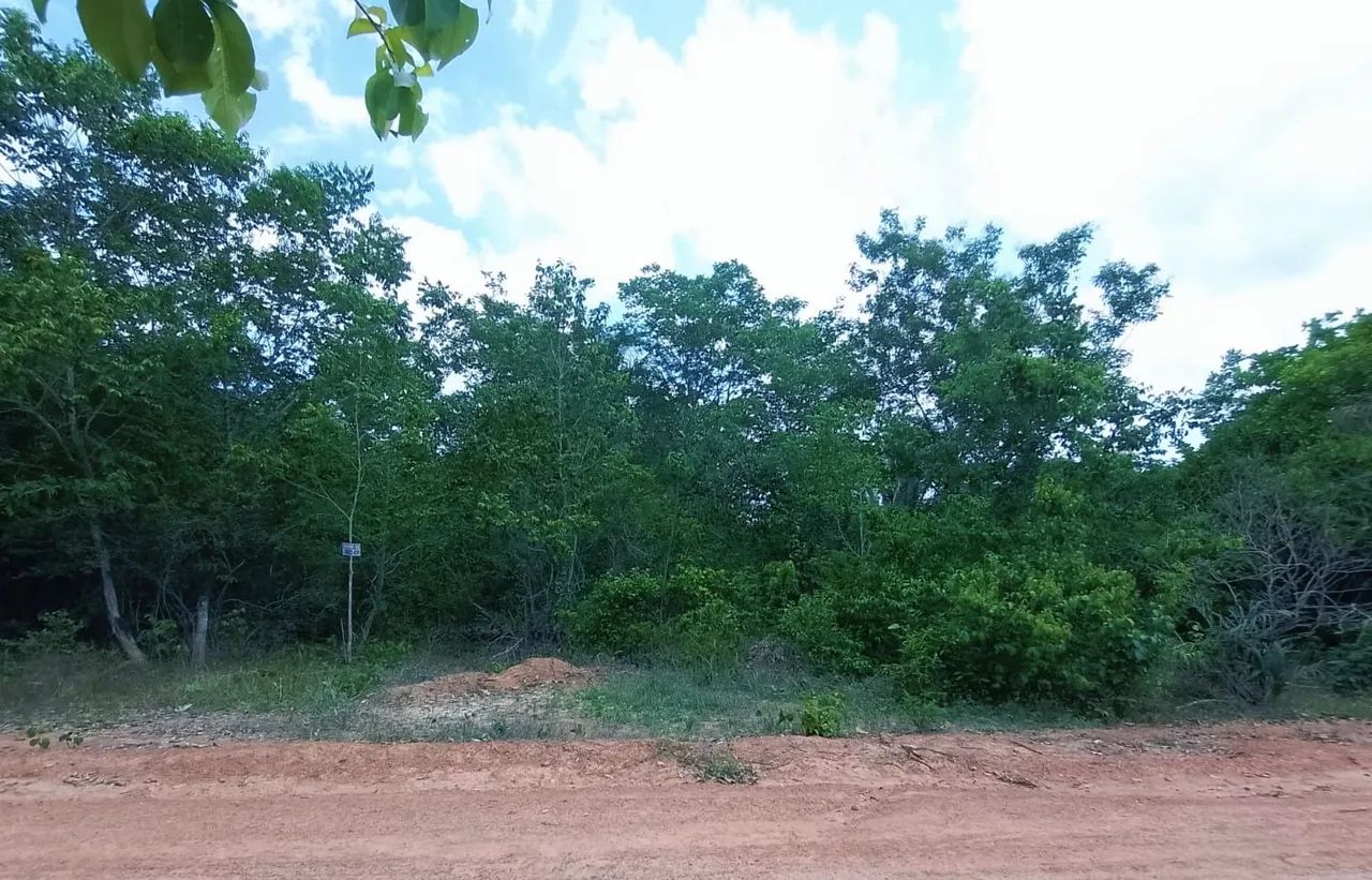 Venda de Terreno  - Foto 4