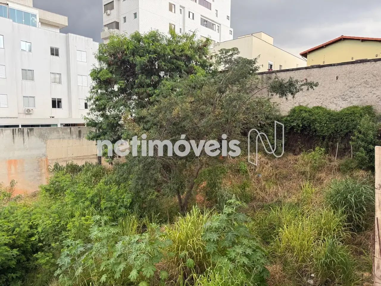 Lote de 420 m²; no Castelo - Foto 5