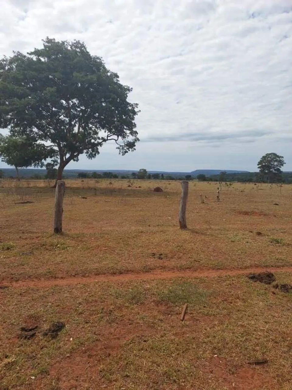 Imóvel rural no Setor Central em Baliza - Foto 2