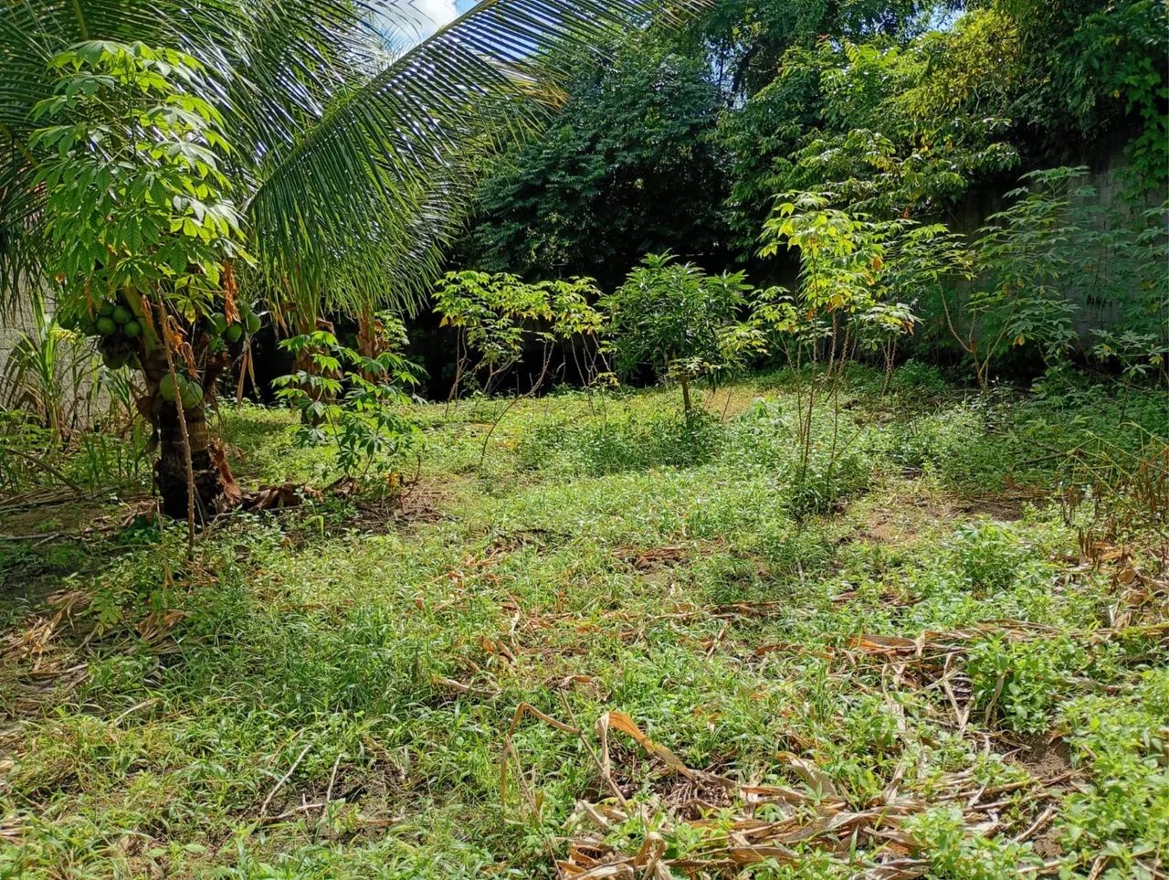 Terreno chã da mangabeira tabajara - Foto 5