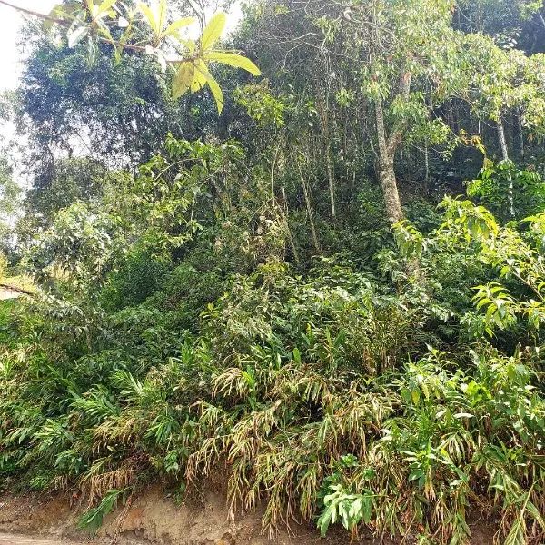 Terreno- Petrópolis, Quitandinha - Foto 2
