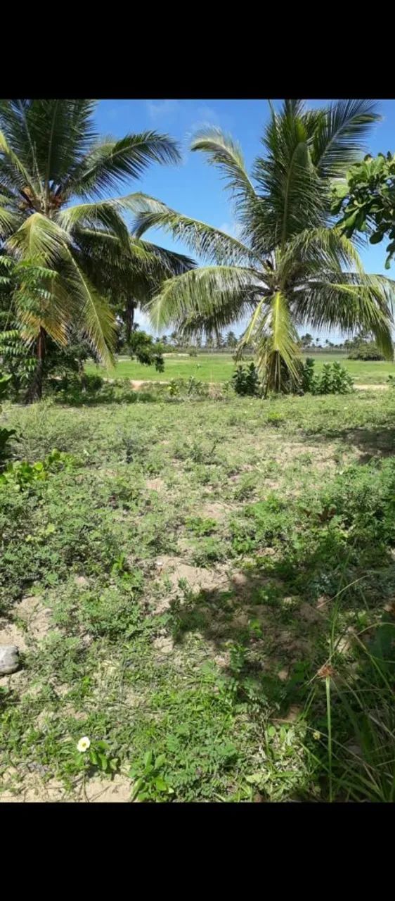 Vendo terreno no povoado ponta do magues/ Pacatuba  - Foto 3