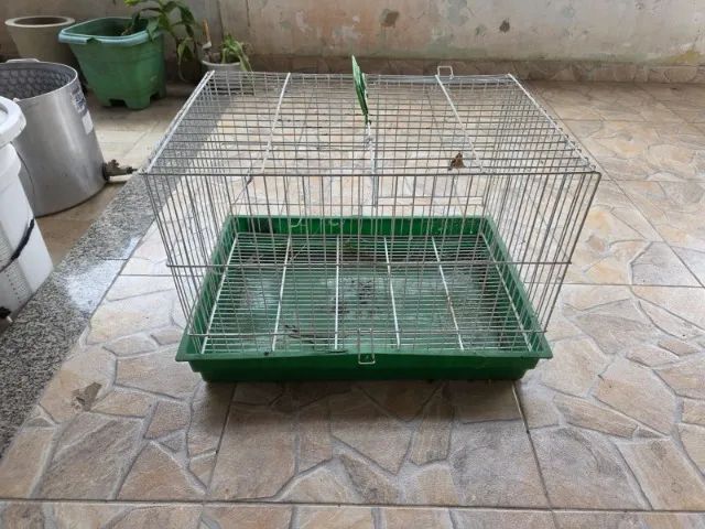Gaiola calopsita - Foto 4