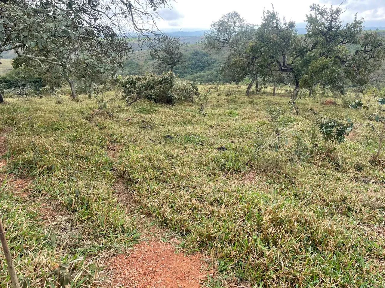 Fazenda dupla aptidão - Foto 5