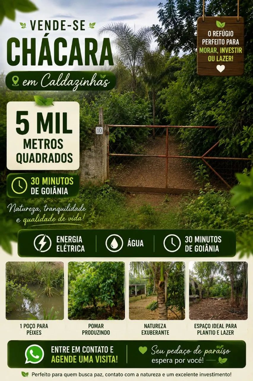 VENDE-SE CHÁCARA EM CALDAZINHA - GO