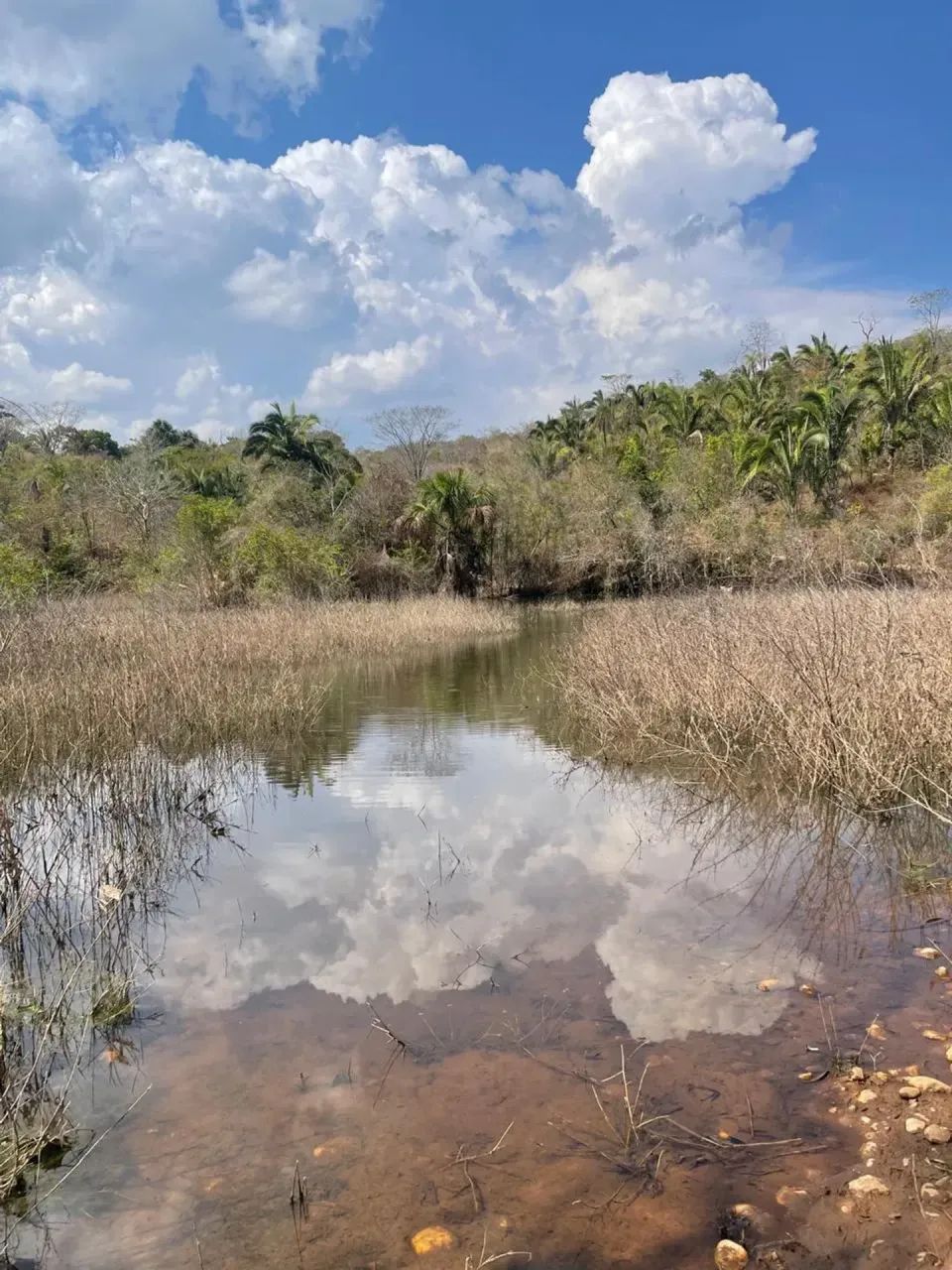 Fazenda em Uruaçu - Foto 4