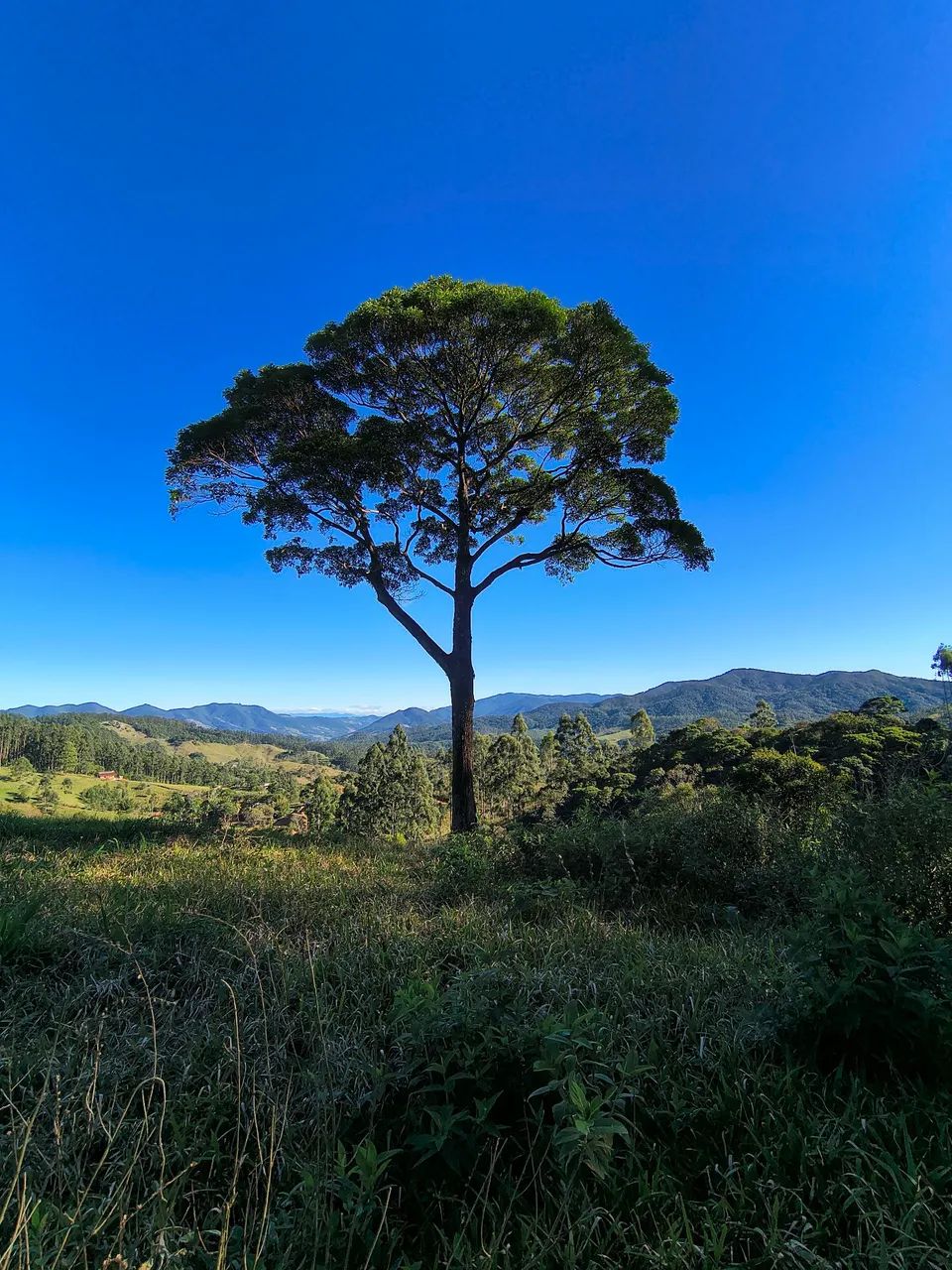 Área rural com lindo por do sol.