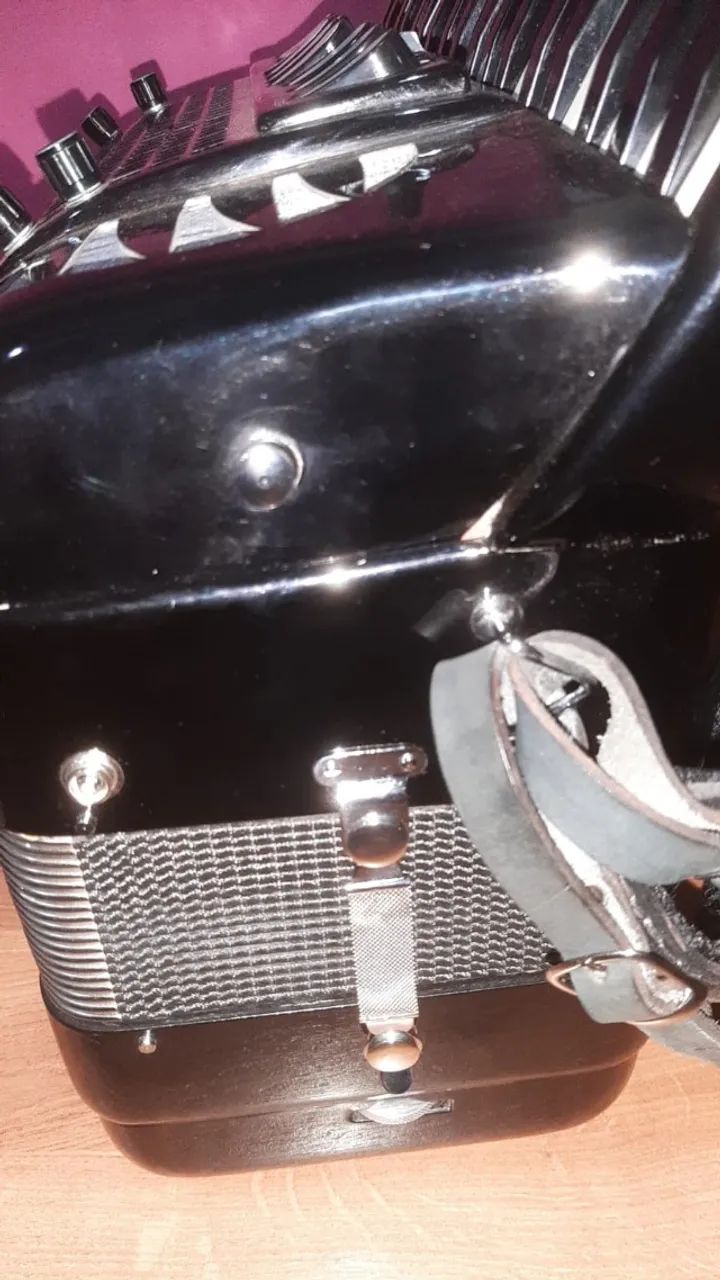 acordeon excelsiola dupla ressonância - Foto 4