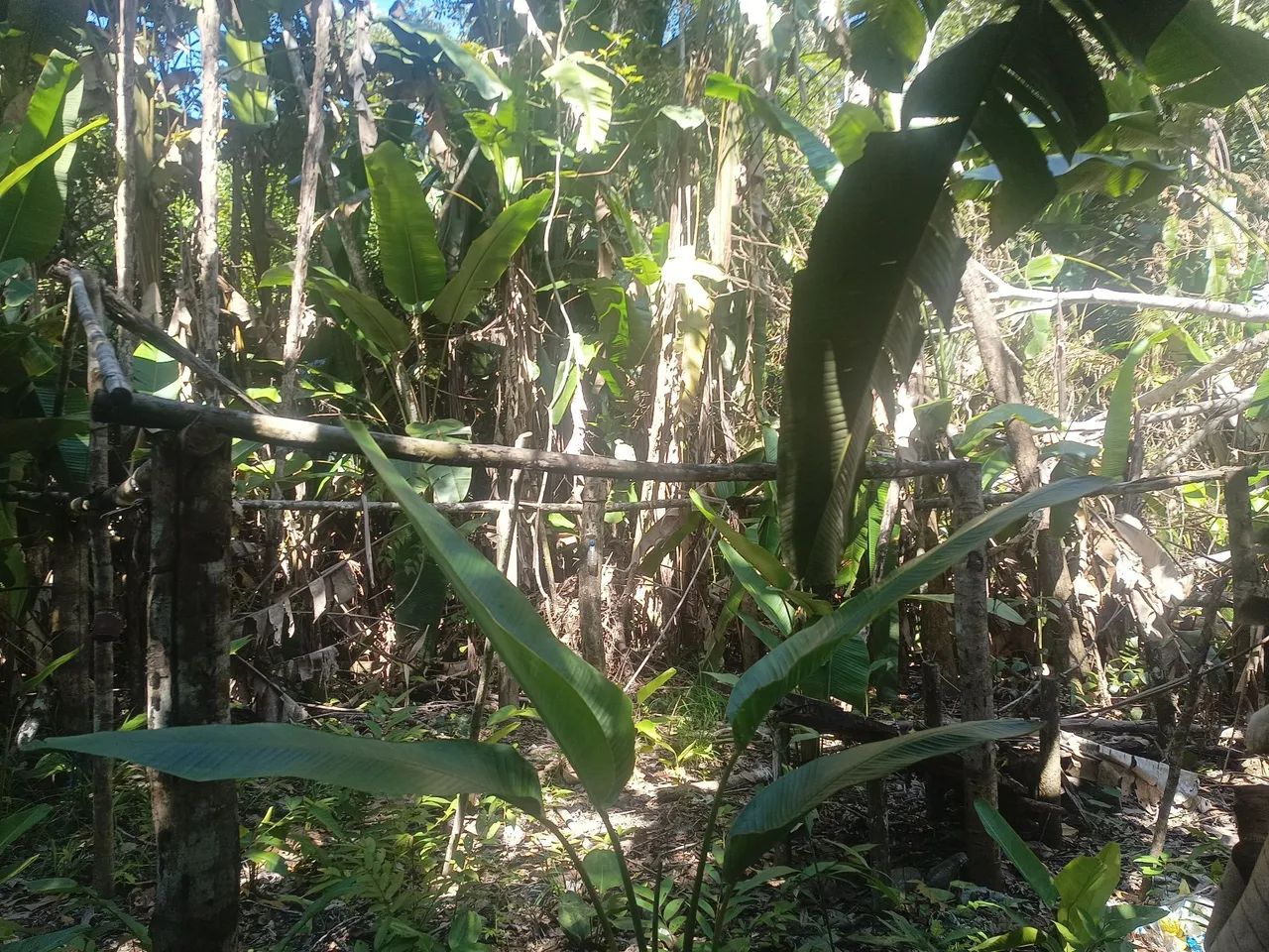 Serviço 
