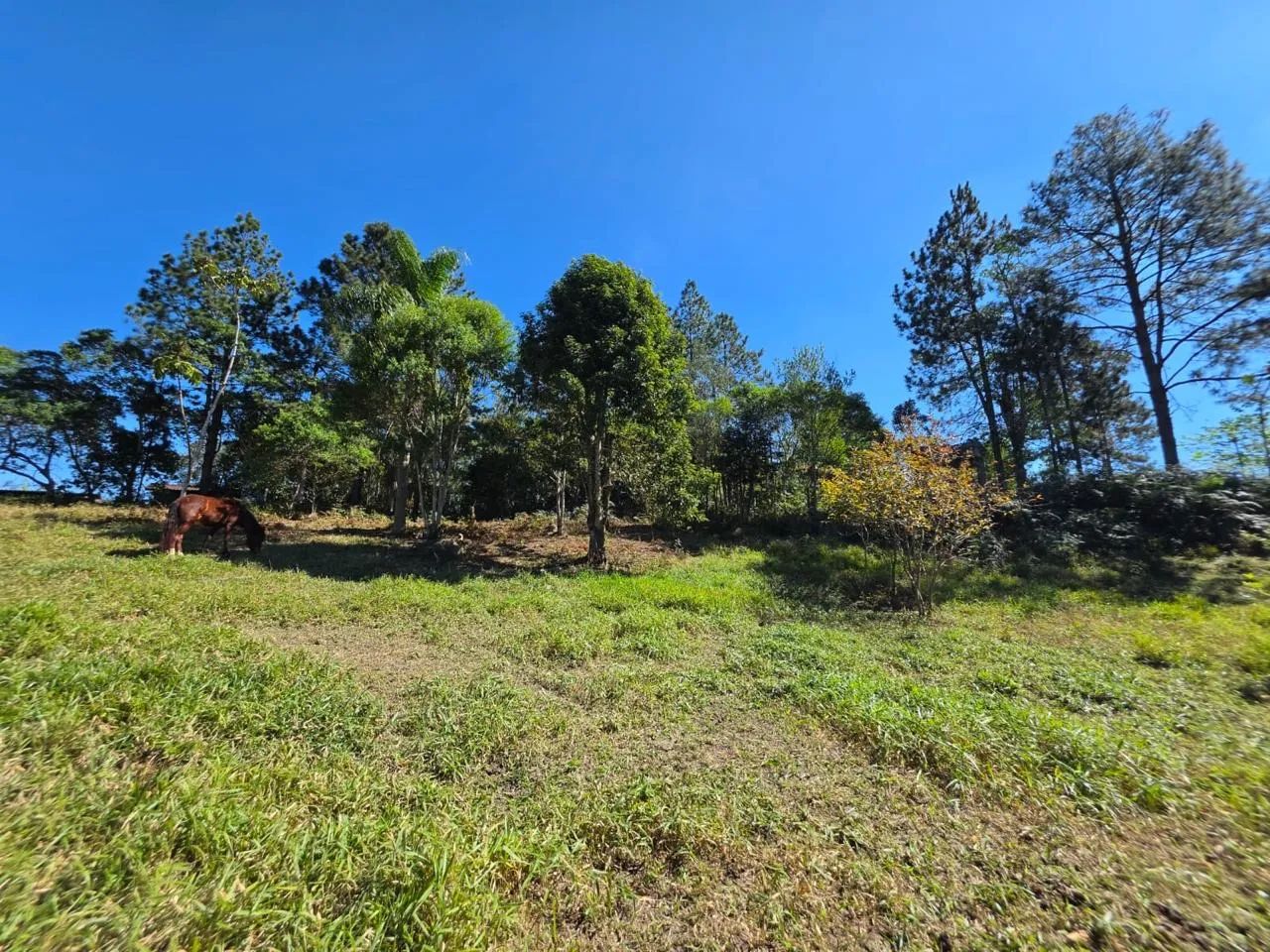 CHÁCARA COM CASA DE 4 CÔMODOS PRÓXIMO A REPRESA - Foto 3