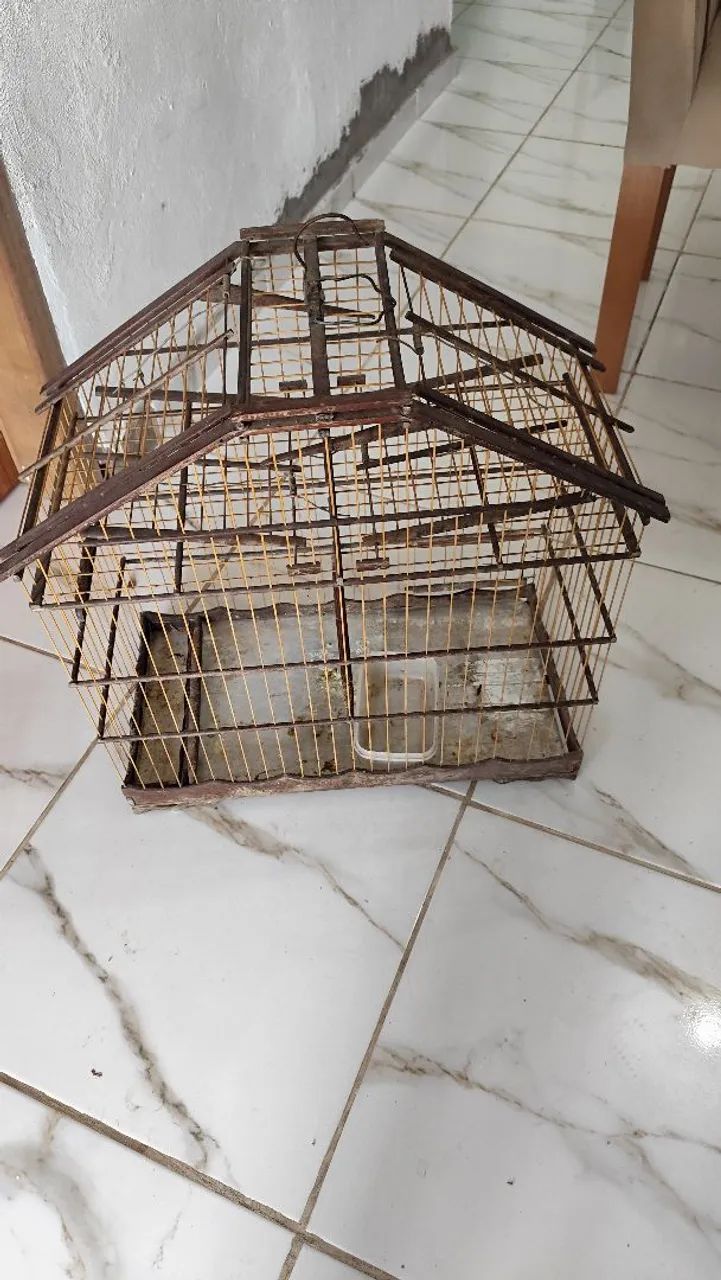 Gaiola  - Foto 2