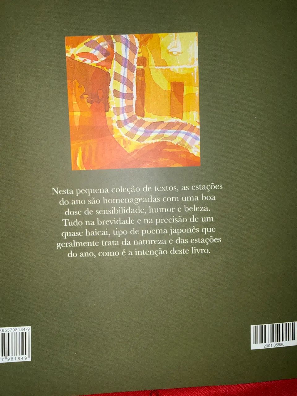 Livro - Foto 4