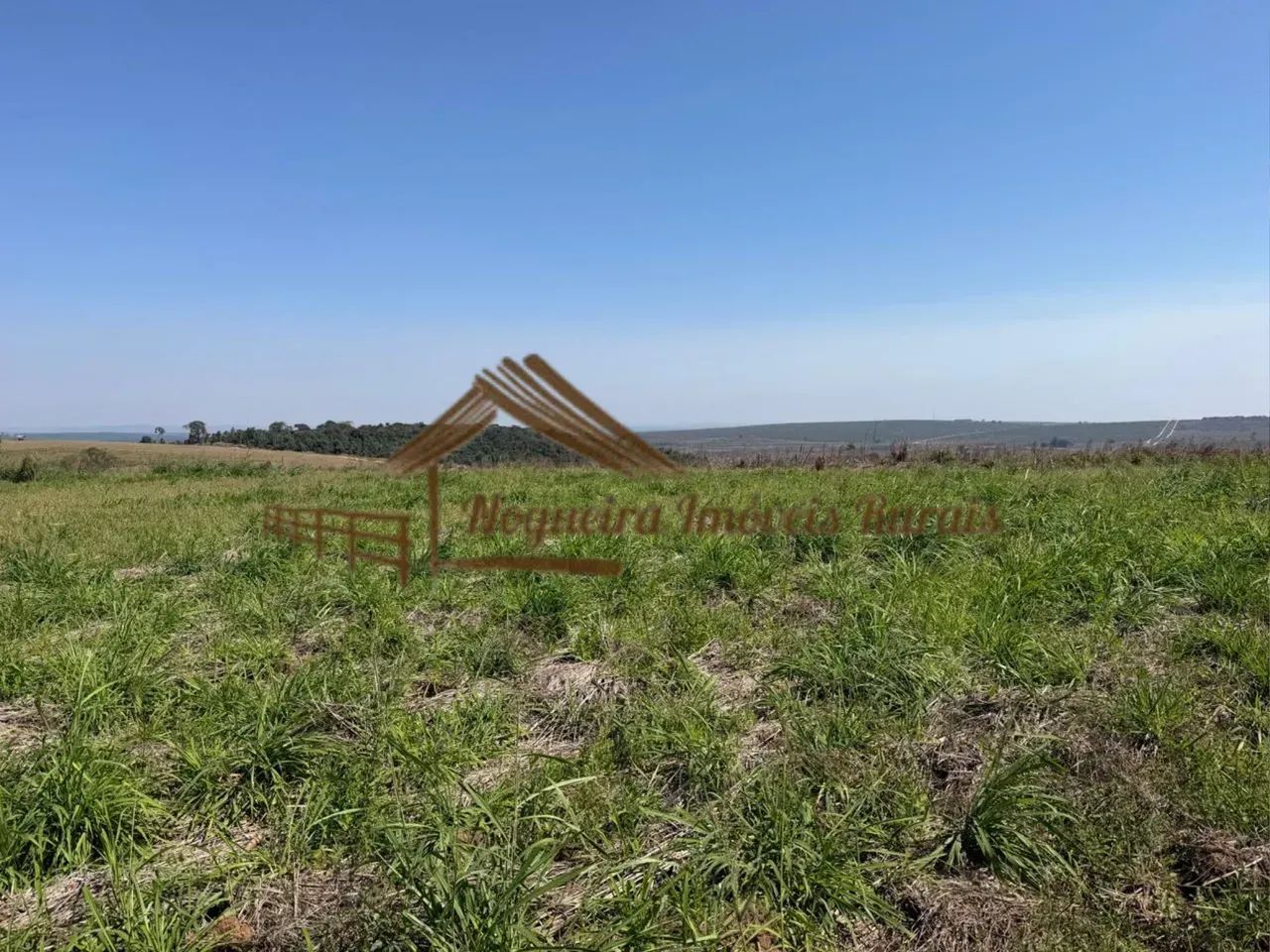 Sitio com 4 alqueires na região de Santa Maria da Serra-SP - Foto 4