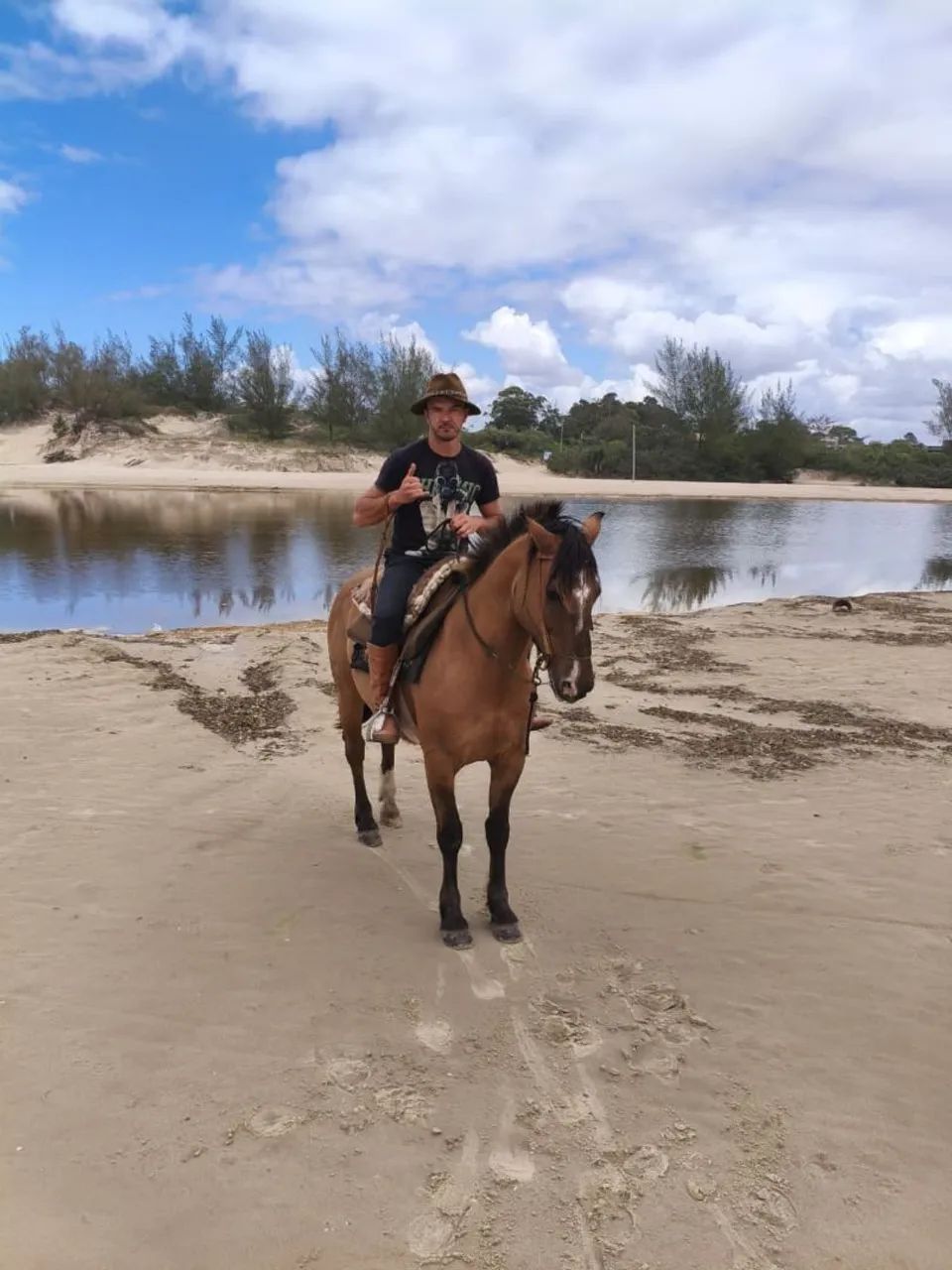 Vendo cavalo Crioulo  - Foto 4