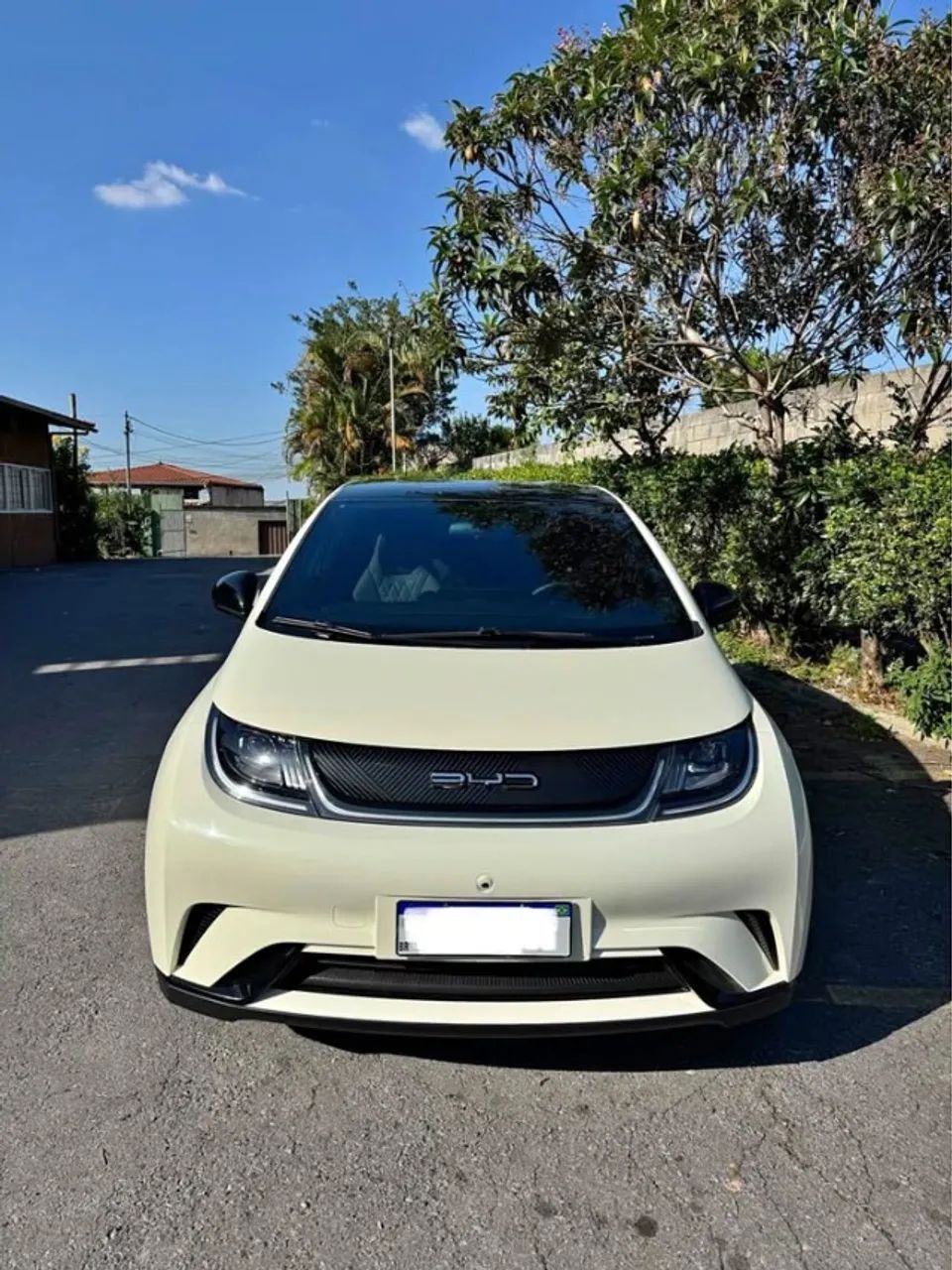 BYD Dolphin Dolphin EV (Elétrico) 2024