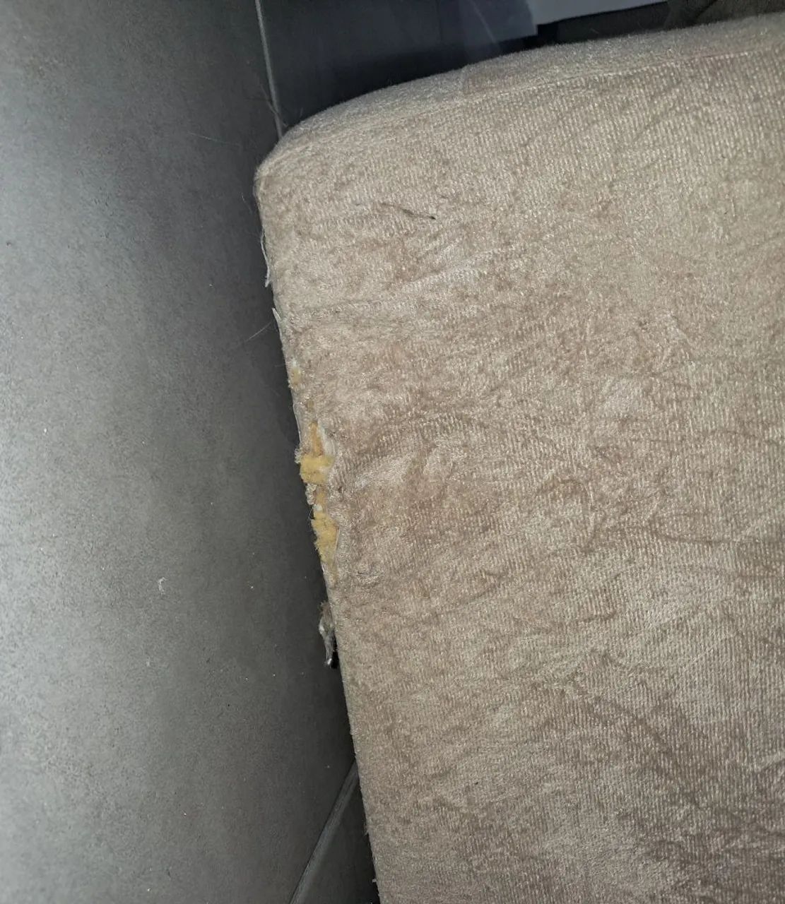 Retractable sofa 2.20 65184958572674124