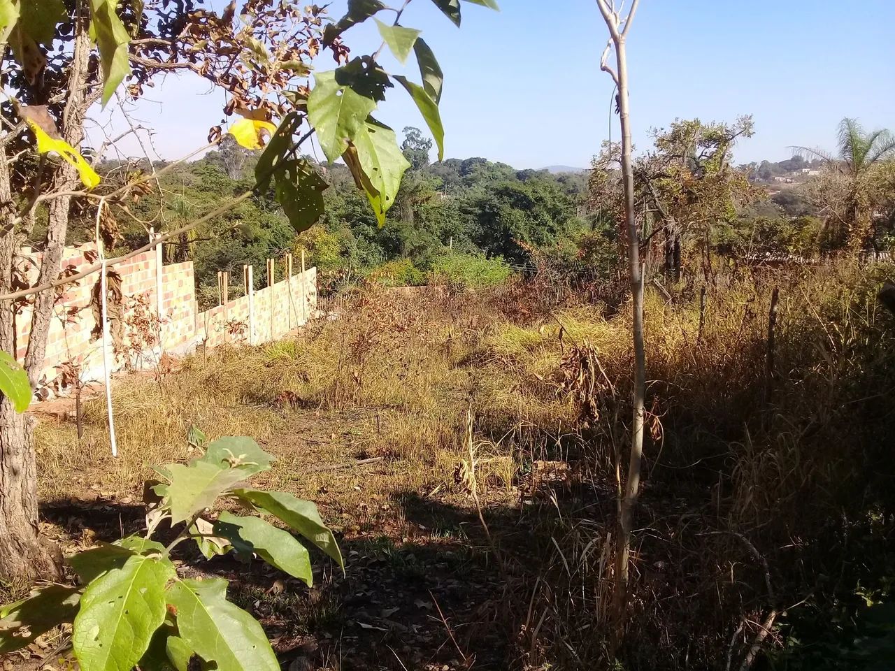 Lote de 452m2 - Foto 5