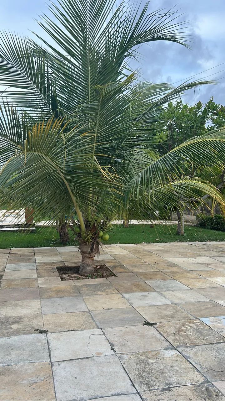 Casa de Praia pra Alugar - Final de Semana R$900 - Foto 2