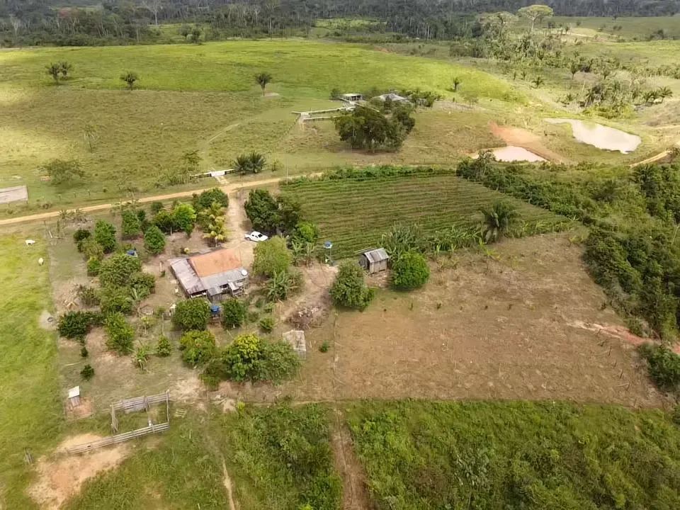 Vende-se uma colônia  - Foto 4