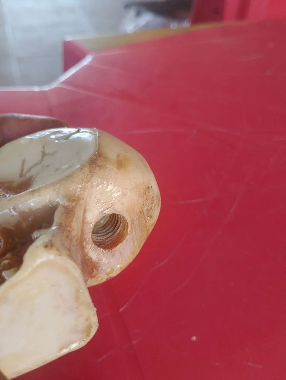 Manopla de caveira. Triciclo, Fusca ... - Foto 3
