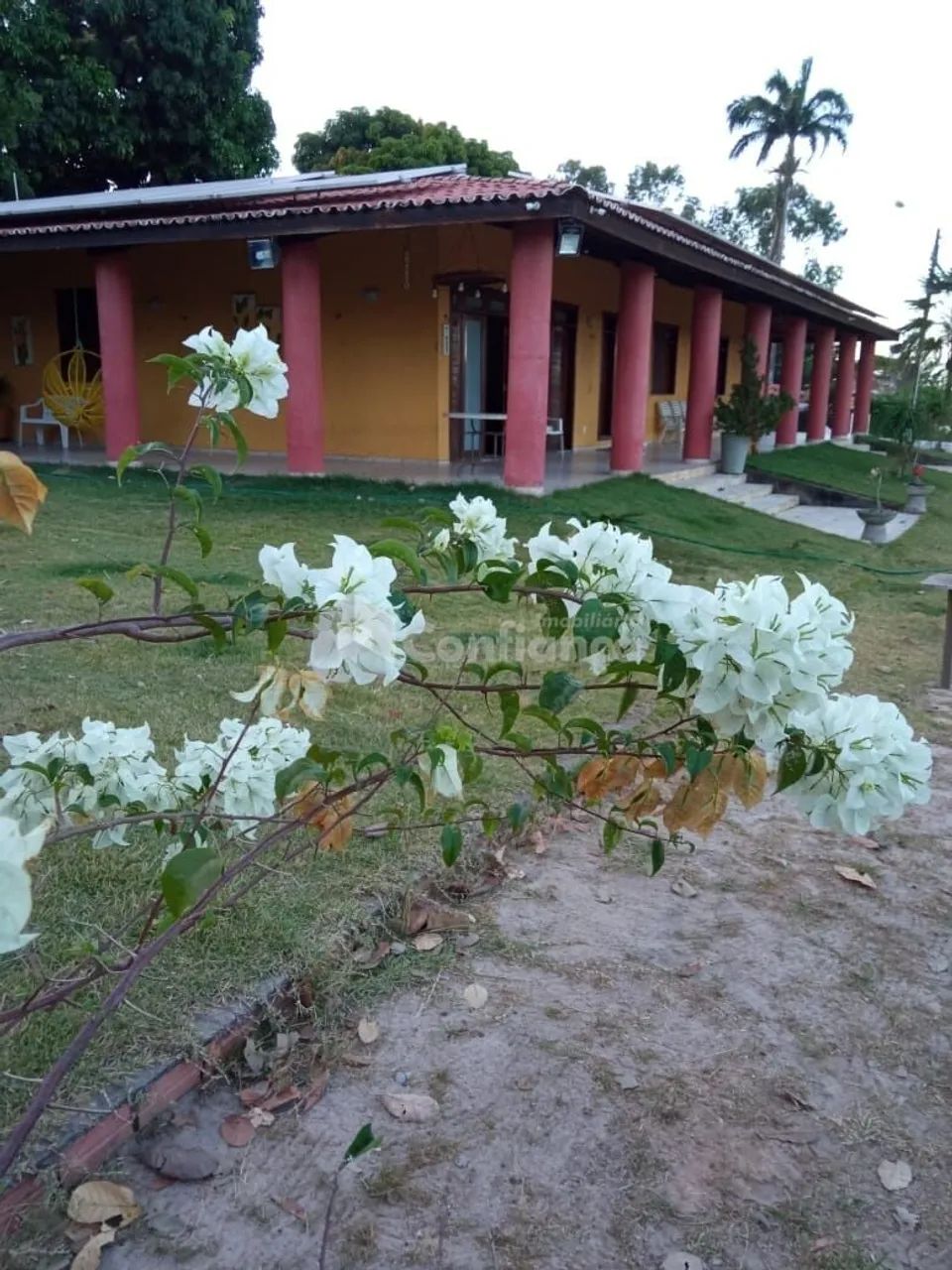 Sitio à Venda em Caucaia no Coité Pedreiras