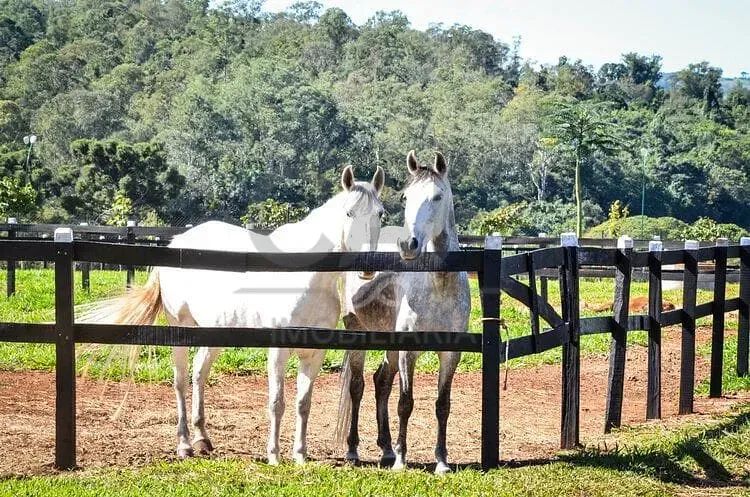 Terreno à venda, Residencial Haras Patente, Jaguariúna, SP - Foto 12